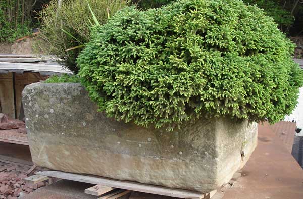 stone planter